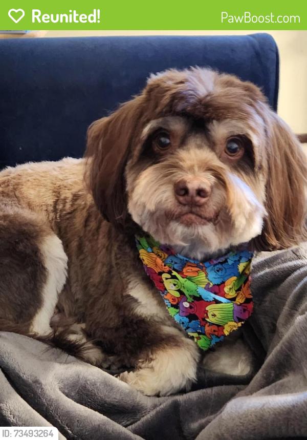 Reunited Male Dog last seen Dillons at 31st/Seneca, Wichita, KS 67217