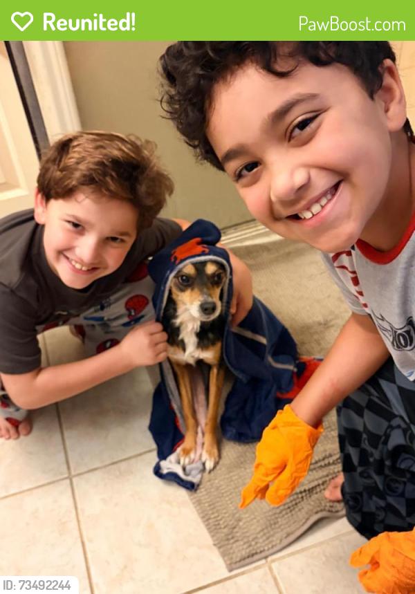 Reunited Male Dog last seen Cypress Farms Ranch Road, Houston, TX 77429