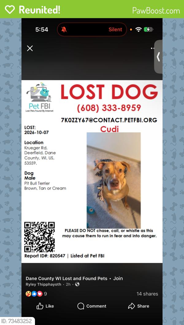 Reunited Male Dog last seen Goose lake conservatory, Deerfield, WI 53559