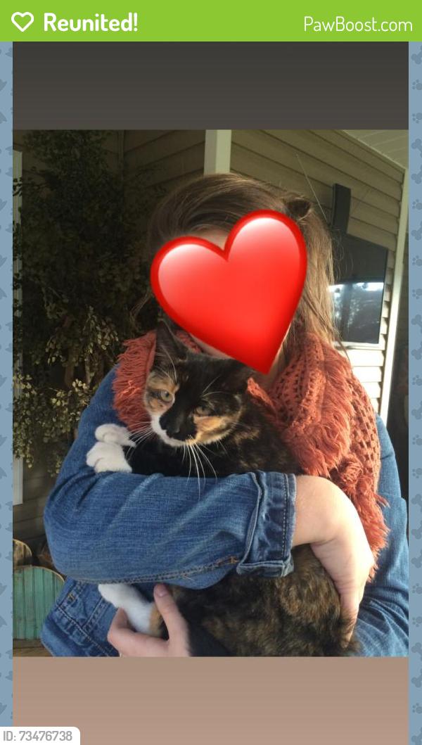 Reunited Female Cat last seen Steven’s Mortuary on Broadway, Knoxville, TN 37917