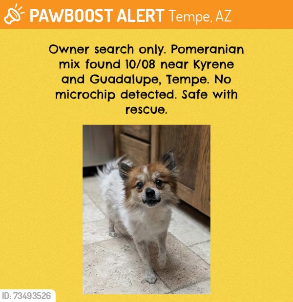 Found/Stray Unknown Dog last seen Kyrene and Guadalupe, Tempe, AZ 85283