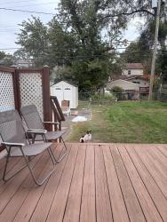 Found/Stray Unknown Cat last seen Longfellow and Lincoln, Royal Oak, MI 48067