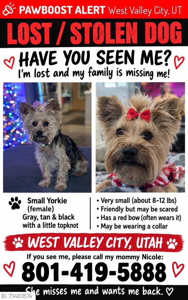 Lost Female Dog last seen W daypark ave, West Valley City, UT 84120