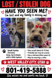 Lost Female Dog last seen W daypark ave, West Valley City, UT 84120
