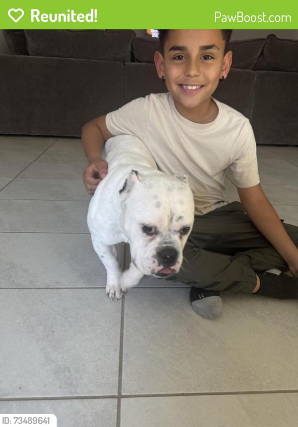 Reunited Male Dog last seen Skyhawk Ave, Fort Worth, TX 76179, USA, Fort Worth, TX 76179