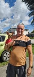 Reunited Male Dog last seen Near West 62nd Street Hialeah Florida 33012, Hialeah, FL 33012