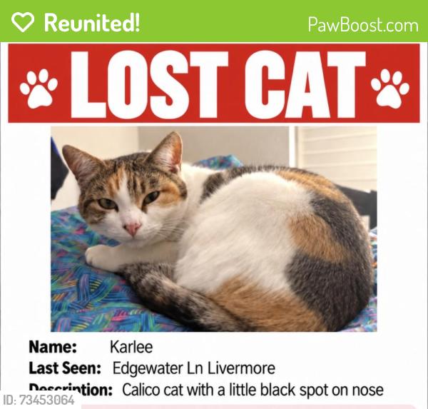 Reunited Female Cat last seen Laughlin rd, Livermore, CA 94551