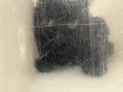 Shelter Stray Unknown Cat last seen Near BLOCK S 69TH ST, 3839 W Burnham St, West Milwaukee, WI 53215, USA