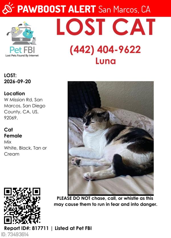Lost Female Cat last seen Mission Rd, San Marcos, CA 92069