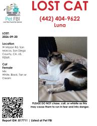 Lost Female Cat last seen Mission Rd, San Marcos, CA 92069