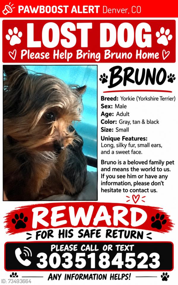 Lost Male Dog last seen Tower , Argonne , 57th Ave , 57th place, Denver, CO 80249