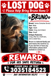 Lost Male Dog last seen Tower , Argonne , 57th Ave , 57th place, Denver, CO 80249