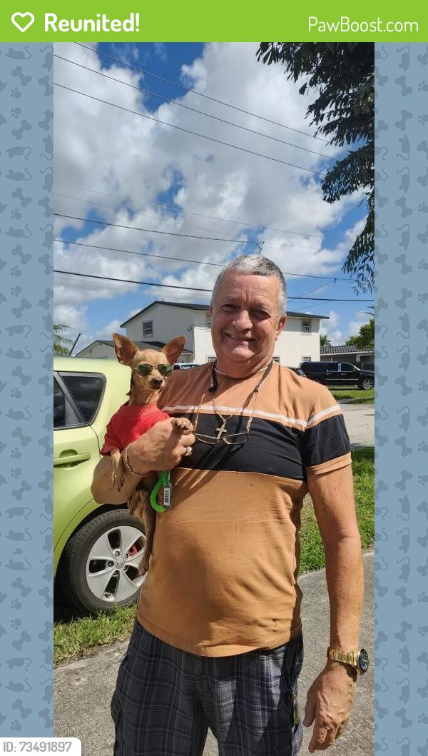 Reunited Male Dog last seen Near West 62nd Street Hialeah Florida 33012, Hialeah, FL 33012