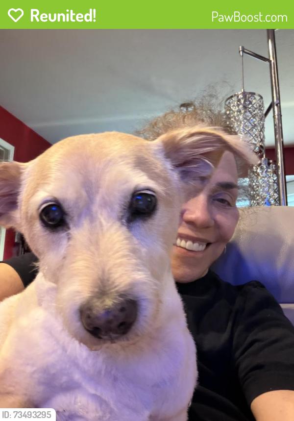 Reunited Male Dog last seen Belmeade & Timberleaf, Carrollton, TX 75006