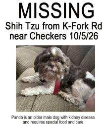 Lost Male Dog last seen Near Checkers. A lady with short blonde hair took him in a black BMW with VA tags, Madison, NC 27025