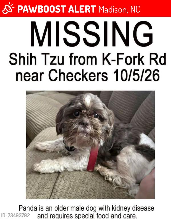 Lost Male Dog last seen Near Checkers. A lady with short blonde hair took him in a black BMW with VA tags, Madison, NC 27025