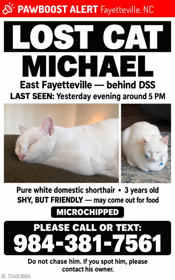 Lost Male Cat last seen Beind DSS, Fayetteville, NC 28301