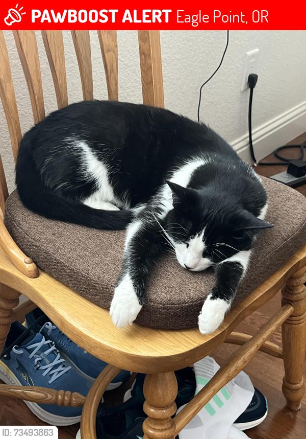 Lost Female Cat last seen Pumpkin Ridge, Eagle Point, OR 97524