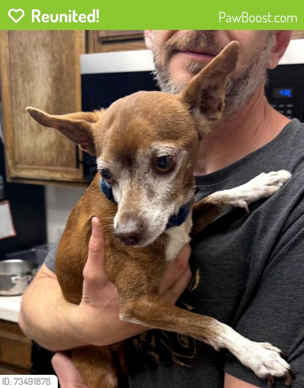 Reunited Male Dog last seen Park on Jacklin Rd, Milpitas, CA 95035