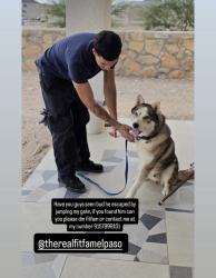 Lost Male Dog last seen Near EmmaRose way, El Paso, TX 79928