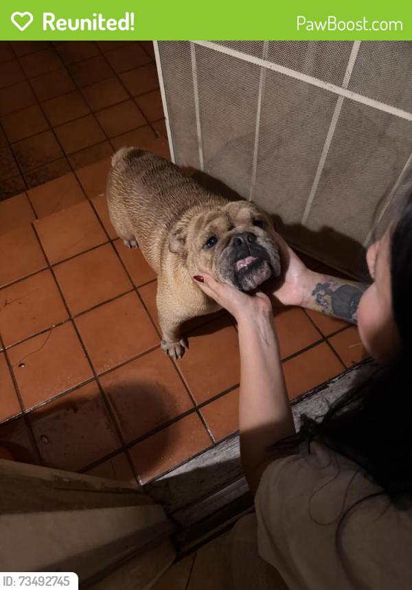 Reunited Male Dog last seen Mission, Escondido, CA 92027