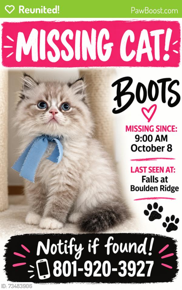Reunited Male Cat last seen Near W 14600 S, Bluffdale, UT 84065