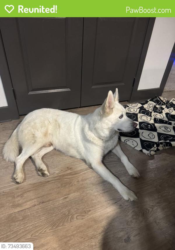 Reunited Male Dog last seen Fossil Creek Blvd, Haltom City, TX 76137, USA, Haltom City, TX 76137