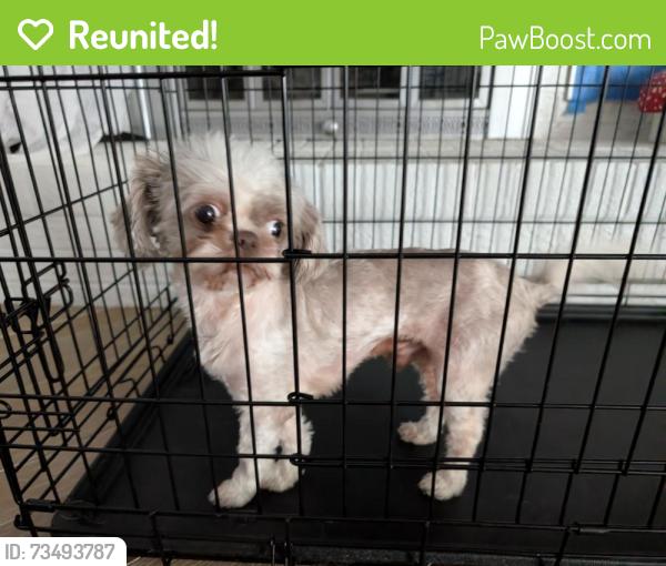 Reunited Male Dog last seen Near Oak Shores Dr., Niceville, FL 32578