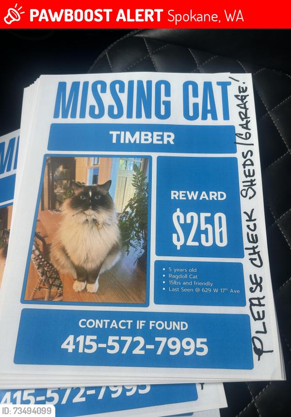 Lost Male Cat last seen 17th and wall, Spokane, WA 99203