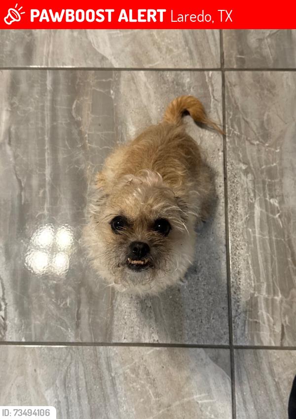 Lost Female Dog last seen Ricardo Molina Middle School, Laredo, TX 78046