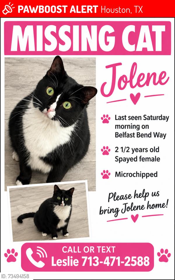 Lost Female Cat last seen The Reserve of Clear Lake by the pool, Houston, TX 77059