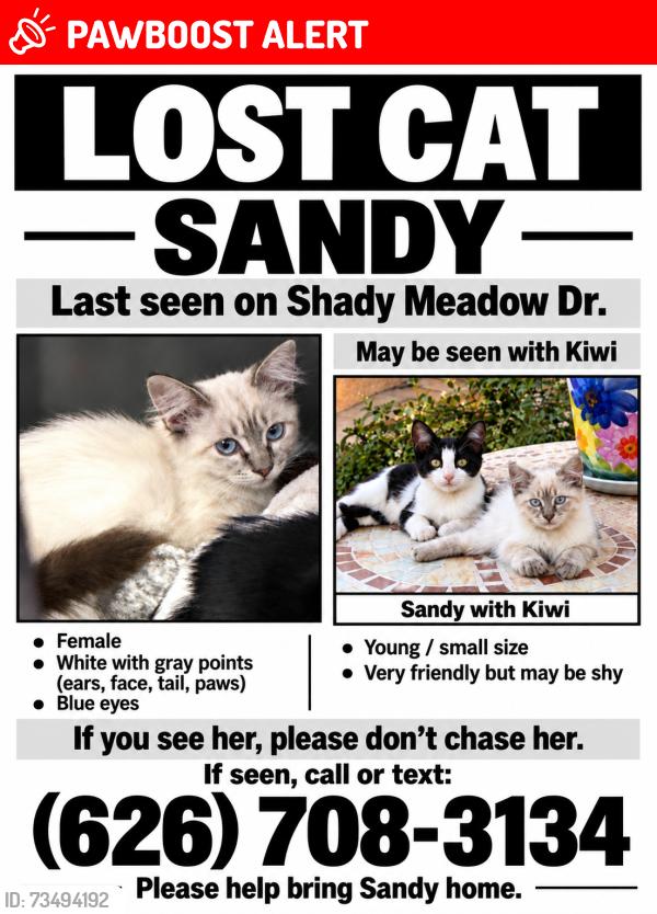 Lost Female Cat last seen Wedgeworth Dr., Hacienda Heights, CA 91745