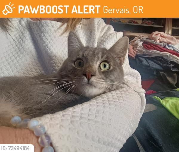 Found/Stray Male Cat last seen Micro Nurseries Inc., Gervais, OR 97026