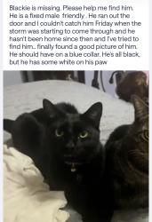 Lost Male Cat last seen Big two-story White hse, Semmes, AL 36575