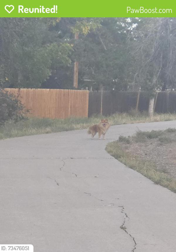 Reunited Unknown Dog last seen 2nd Ave and Ursula St, Aurora, CO 80011