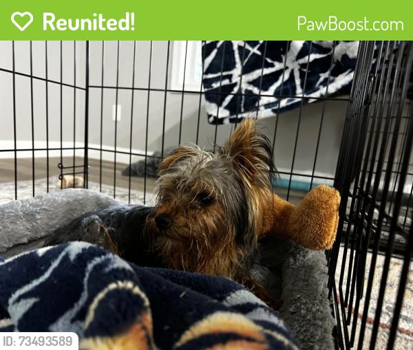 Reunited Unknown Dog last seen Near NW 4th ave, Battle Ground, WA 98604