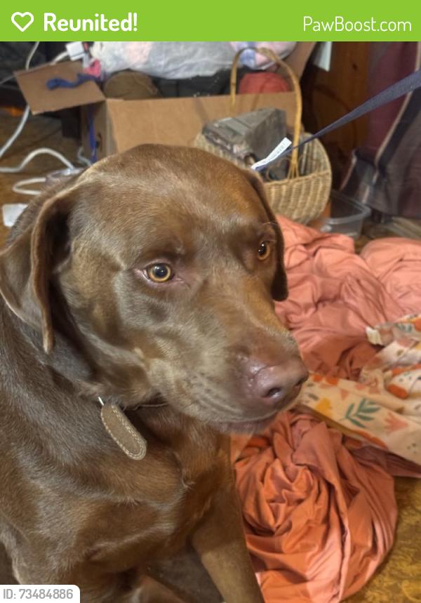 Reunited Male Dog last seen Near Demetropolis Rd, Mobile, AL 36693, USA, Mobile, AL 36693