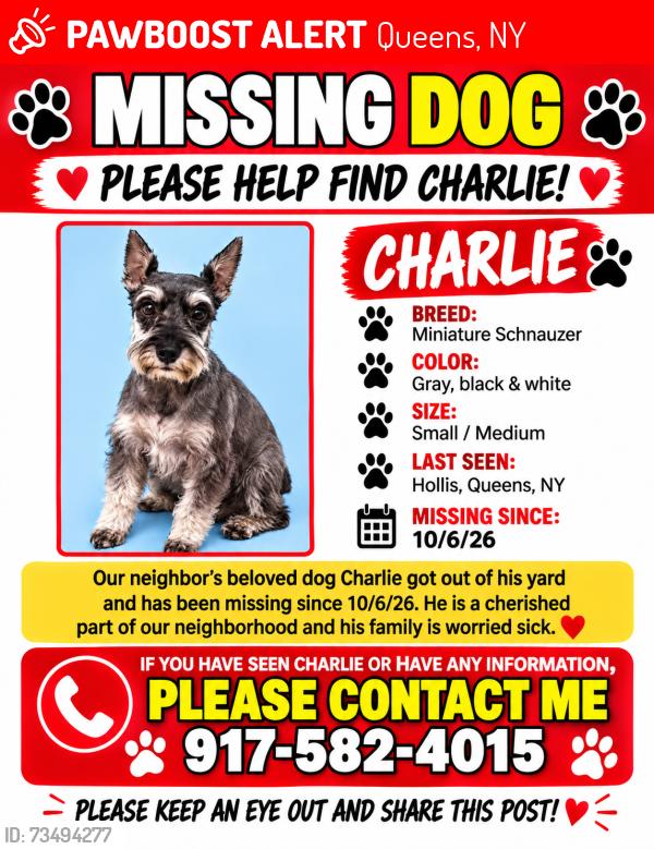 Lost Male Dog last seen 99-07 199th street Hollis, Queens, NY 11423