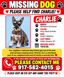Lost Male Dog last seen 99-07 199th street Hollis, Queens, NY 11423