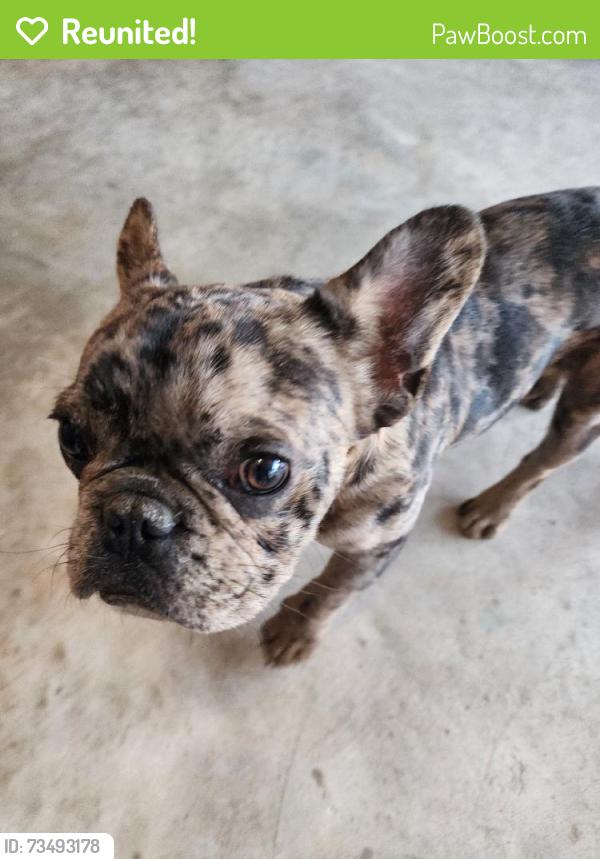 Reunited Male Dog last seen Near NW 25th St, Yukon, OK 73099, USA, Yukon, OK 73099