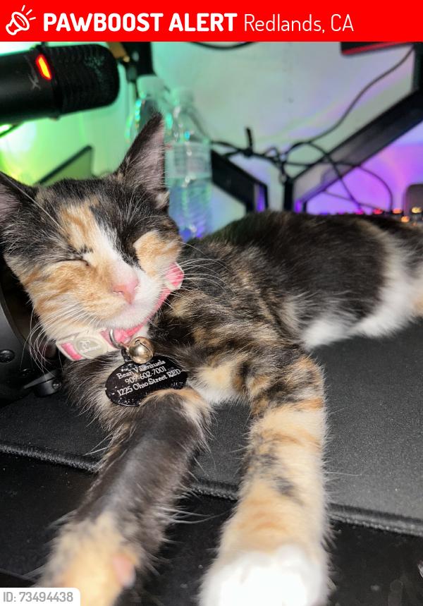 Lost Female Cat last seen lugonia, Redlands, CA 92374
