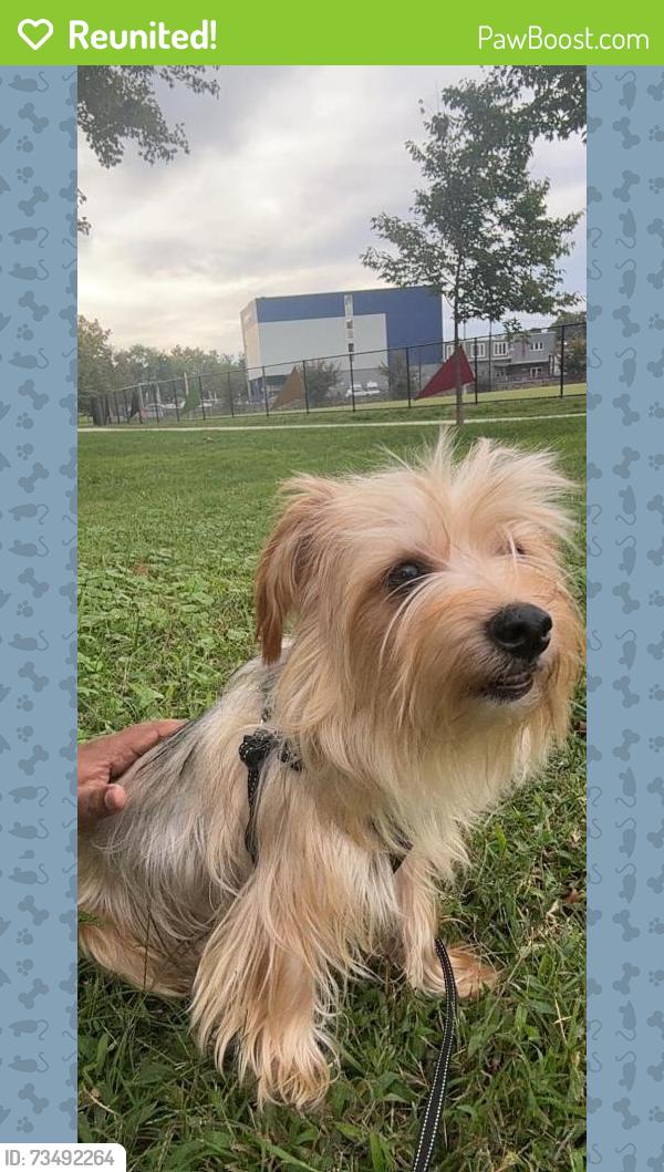 Reunited Male Dog last seen George Mason dr, Arlington, VA 22206