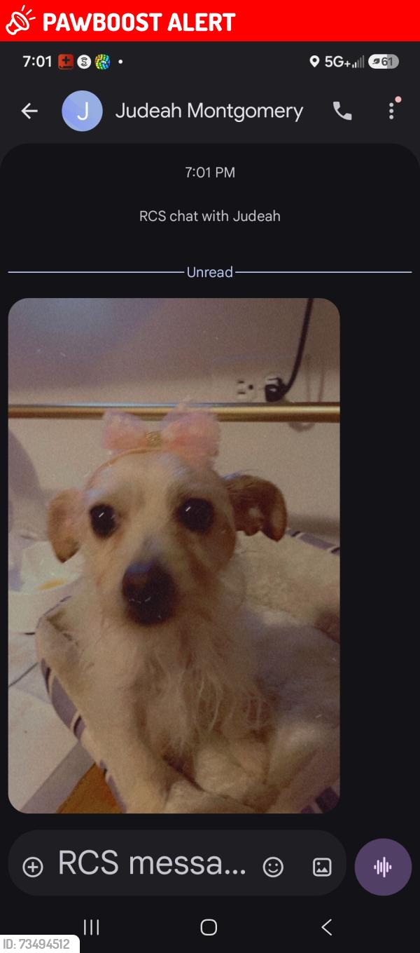 Lost Female Dog last seen Pulaski, Midlothian Turnpike, Midlothian Turnpike, VA 23235
