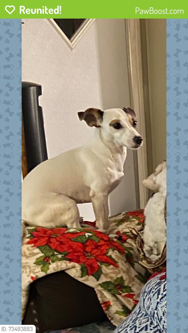 Reunited Female Dog last seen West Ox Eye Place, Homosassa Springs, FL 34448
