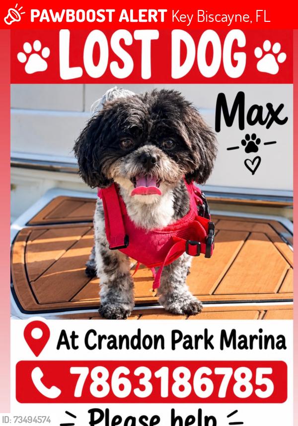 Lost Male Dog last seen Marina de Crandon park, Key Biscayne, FL 33149