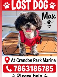 Lost Male Dog last seen Marina de Crandon park, Key Biscayne, FL 33149
