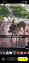 Found/Stray Male Dog last seen Near w Savannah st, Wichita, KS 67217