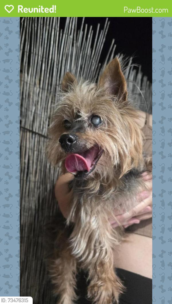 Reunited Female Dog last seen Found on the corner of S 40th and Newton Ave., San Diego, CA 92113