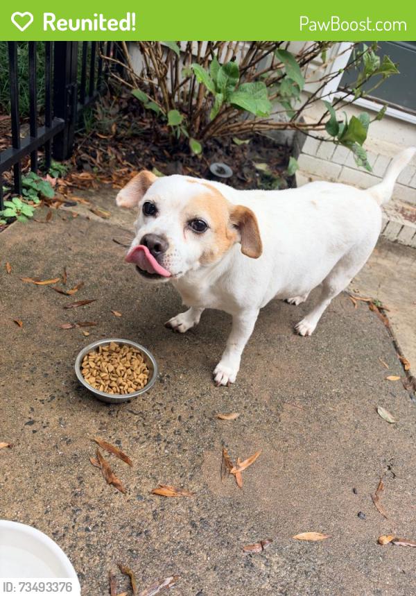 Reunited Male Dog last seen Near Kinsale Ln, Charlotte, NC 28215, USA, Charlotte, NC 28215