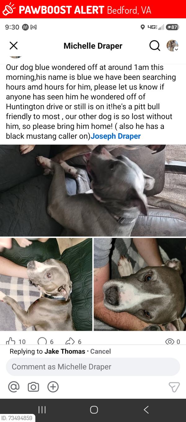 Lost Male Dog last seen Bedford, Bedford, VA 24523